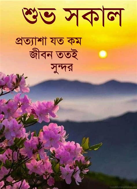 good morning quotes in bengali|100+ Sweet Good Morning Wishes in Bengali .